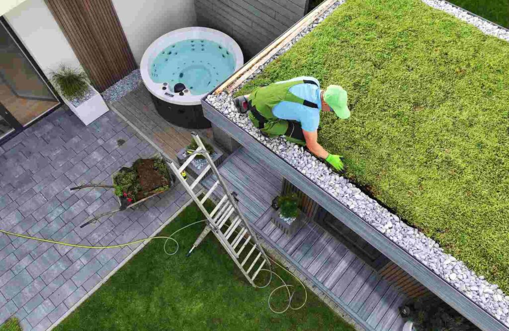 flat roof with green moss on top of it